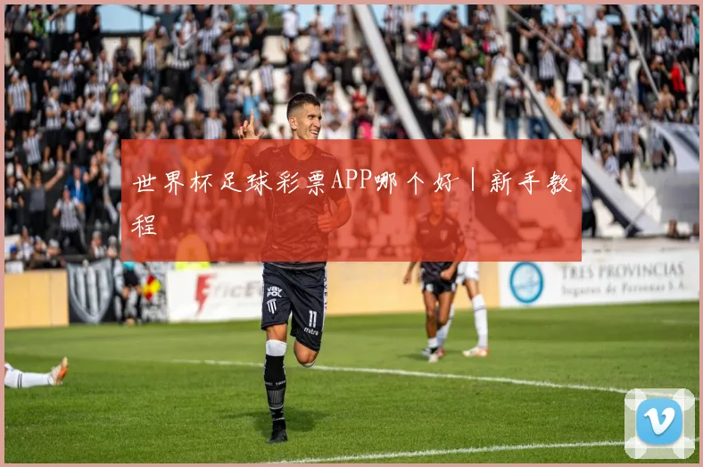 世界杯足球彩票APP哪个好｜新手教程
