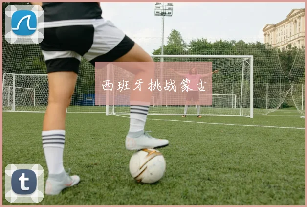 西班牙挑战蒙古