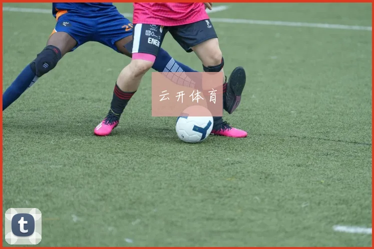云开体育