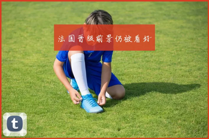 法国晋级前景仍被看好