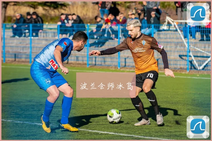波兰会师冰岛