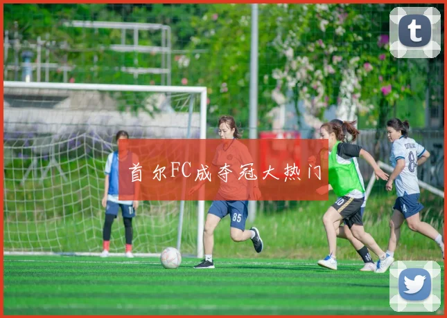 首尔FC成夺冠大热门