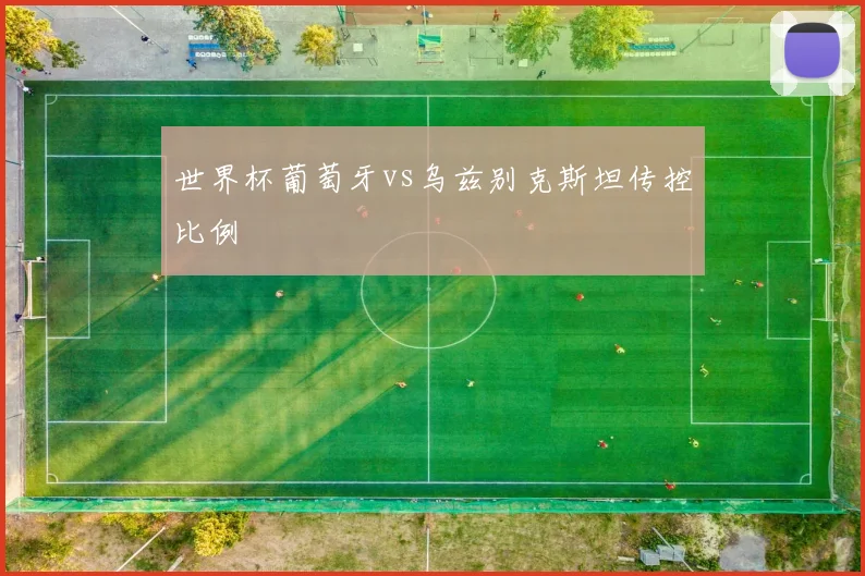 世界杯葡萄牙vs乌兹别克斯坦传控比例