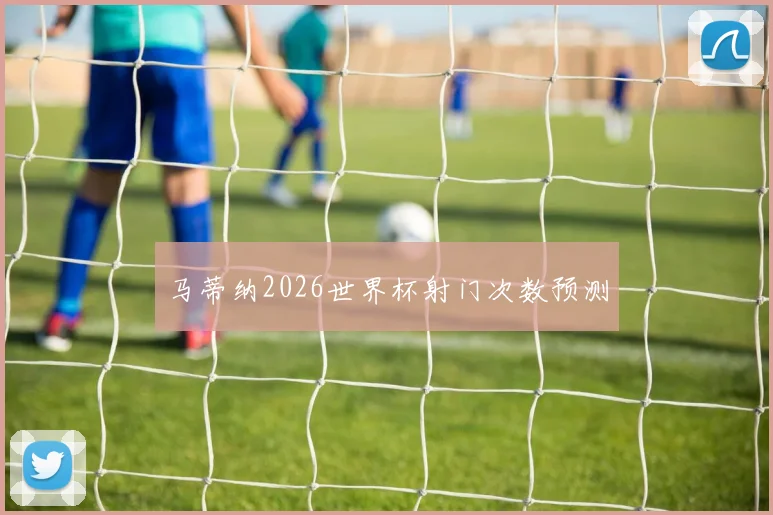 马蒂纳2026世界杯射门次数预测