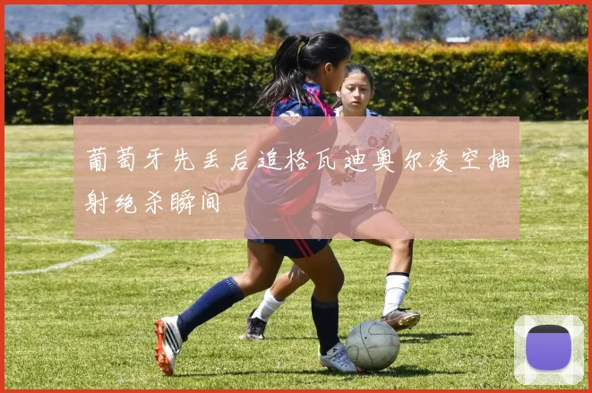 葡萄牙先丢后追格瓦迪奥尔凌空抽射绝杀瞬间