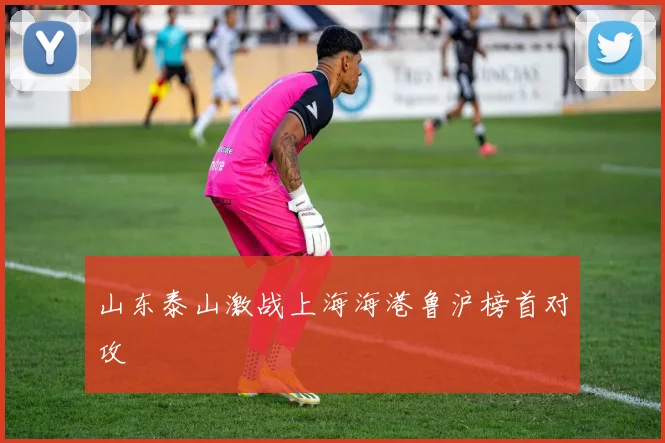 山东泰山激战上海海港鲁沪榜首对攻