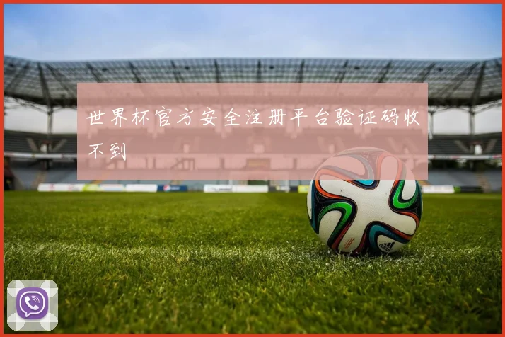 世界杯官方安全注册平台验证码收不到