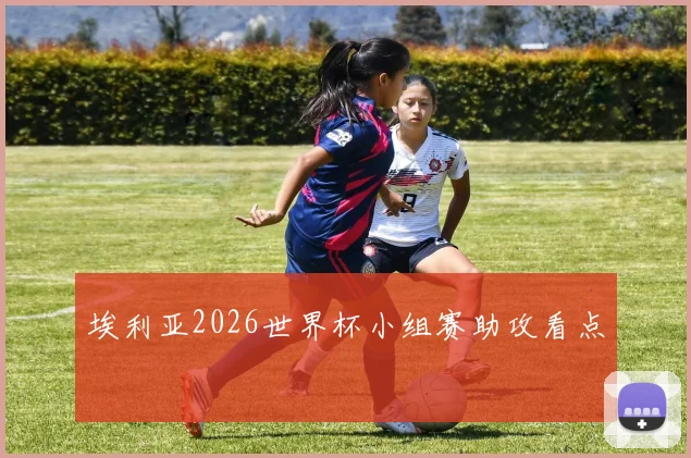 埃利亚2026世界杯小组赛助攻看点