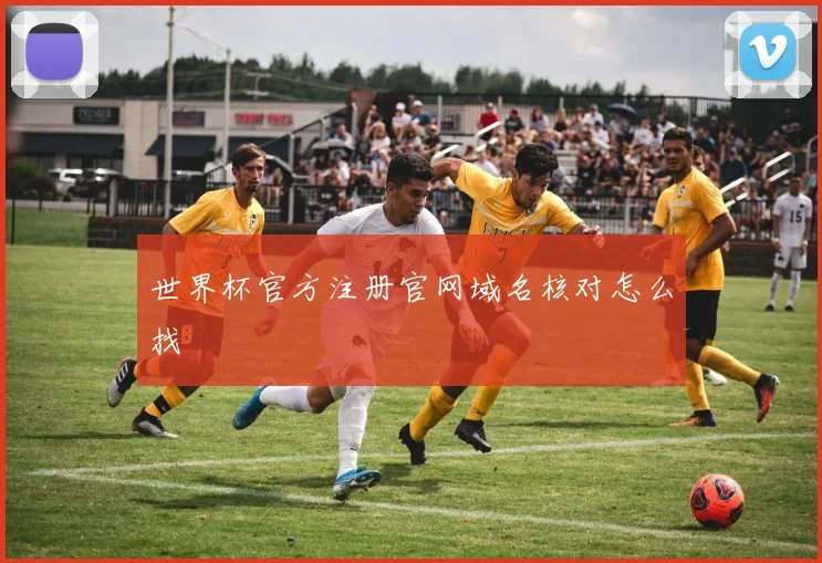 世界杯官方注册官网域名核对怎么找