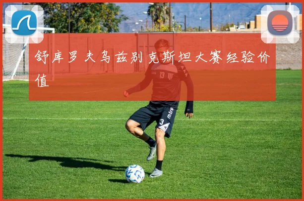 舒库罗夫乌兹别克斯坦大赛经验价值
