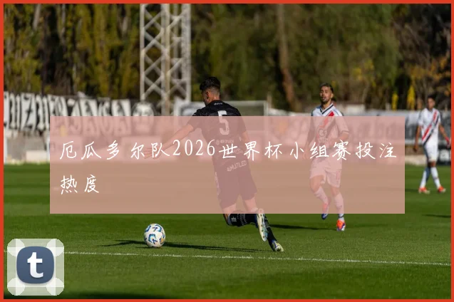 厄瓜多尔队2026世界杯小组赛投注热度