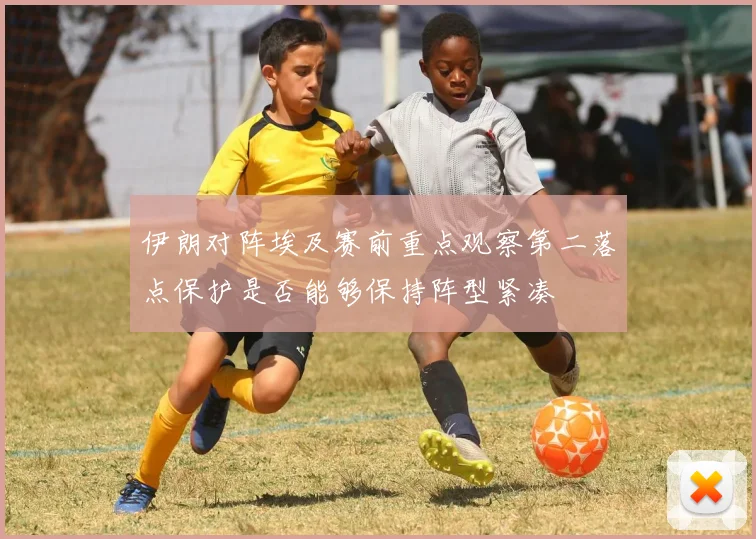 伊朗对阵埃及赛前重点观察第二落点保护是否能够保持阵型紧凑