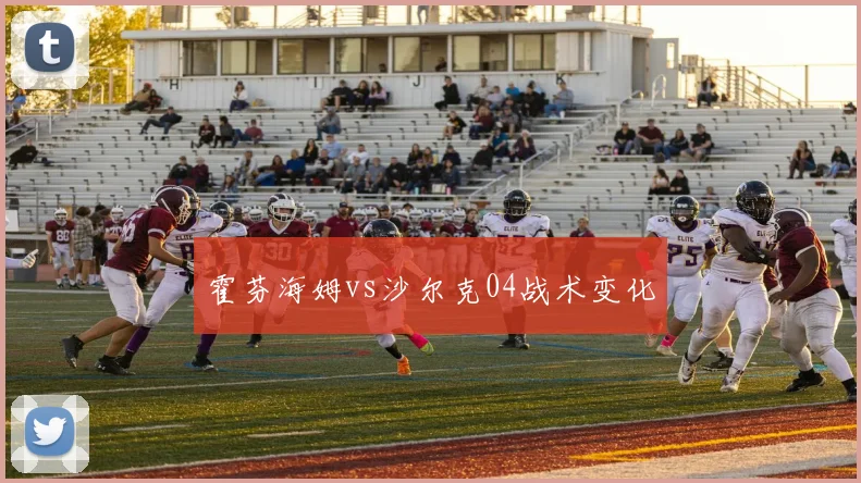 霍芬海姆vs沙尔克04战术变化